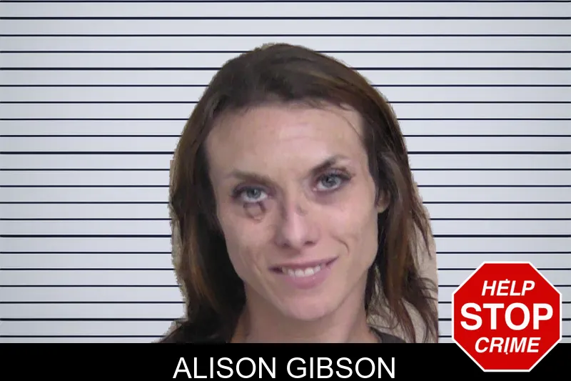 Alison Gibson mugshot