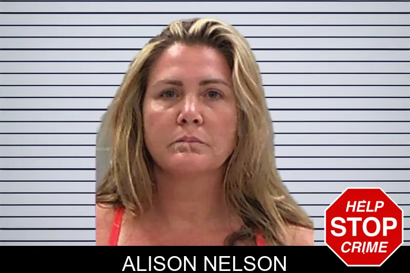 Alison Nelson mugshot