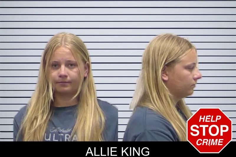 Allie King mugshot