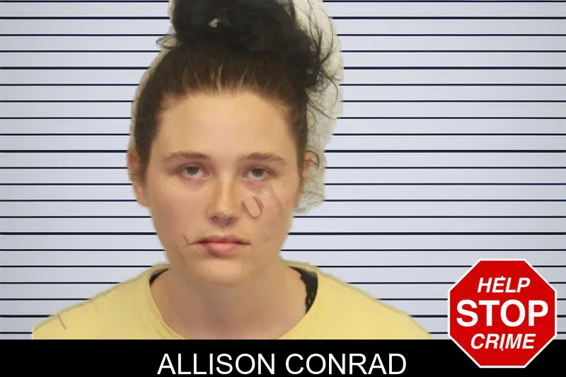Allison Conrad mugshot
