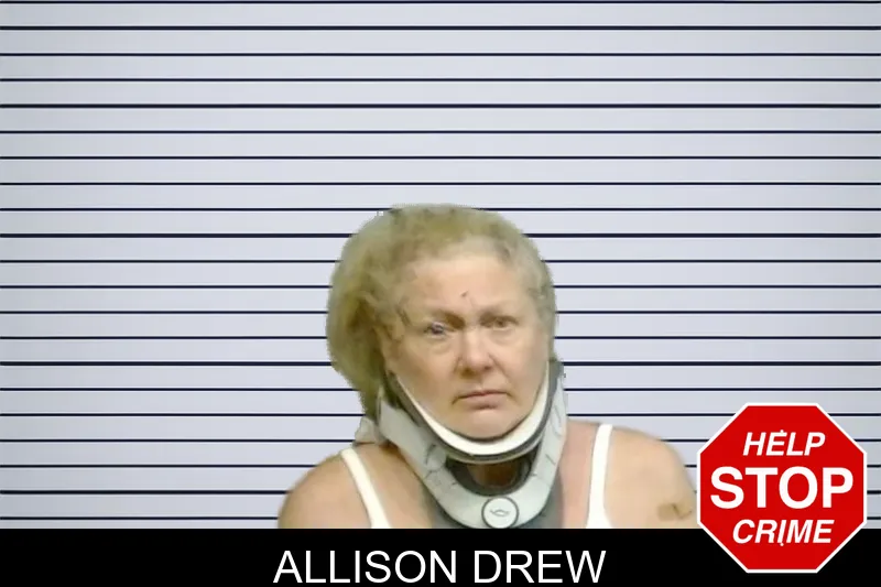 Allison Drew mugshot