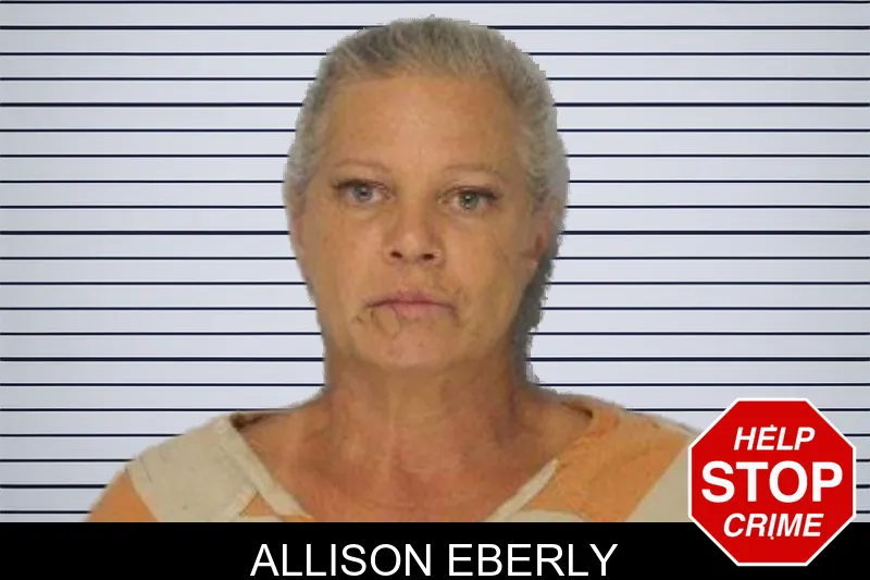 Allison Eberly mugshot
