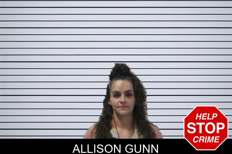 Allison Gunn mugshot