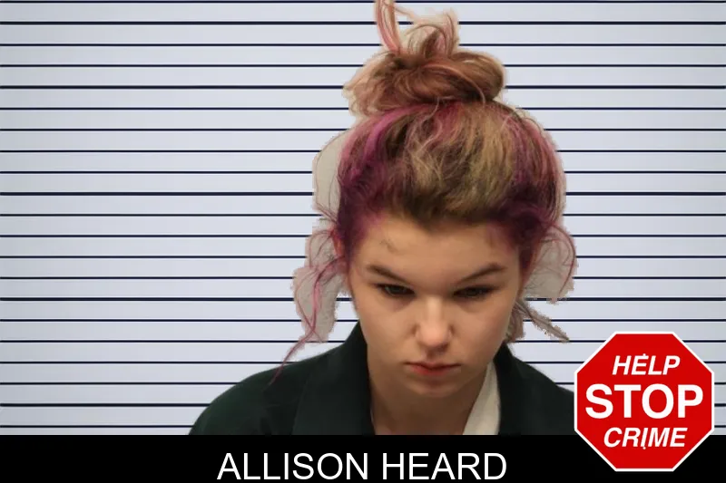 Allison Heard mugshot