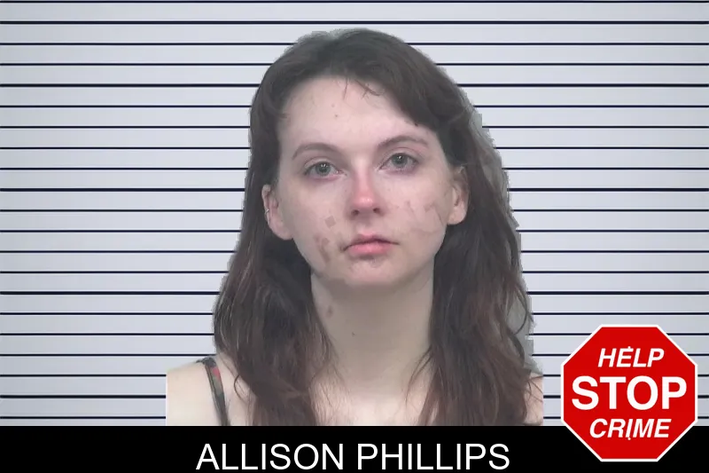 Allison Phillips mugshot