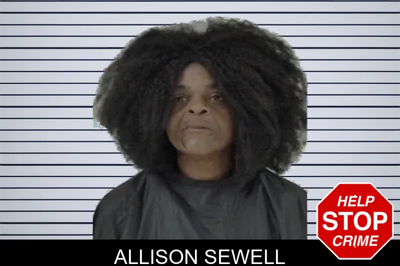 Allison Sewell mugshot