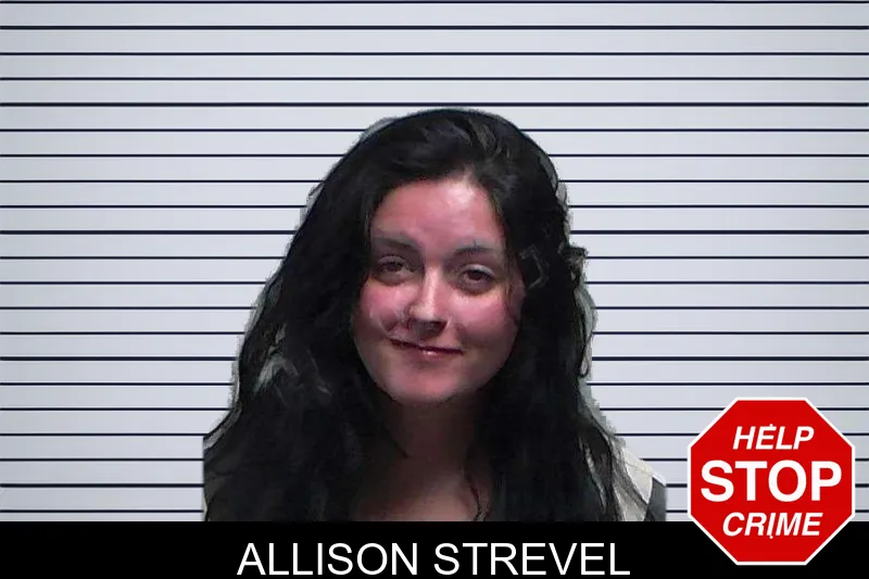 Allison Strevel mugshot