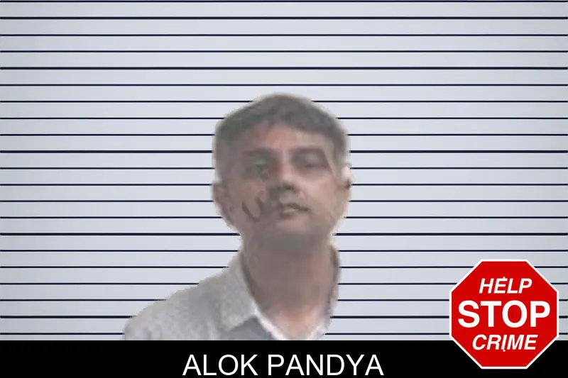 Alok Pandya mugshot