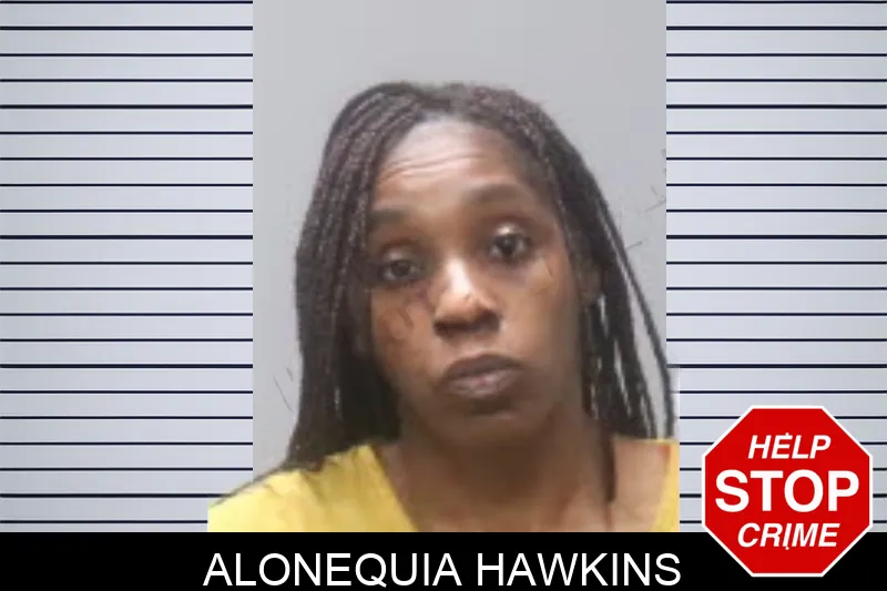 Alonequia Hawkins mugshot