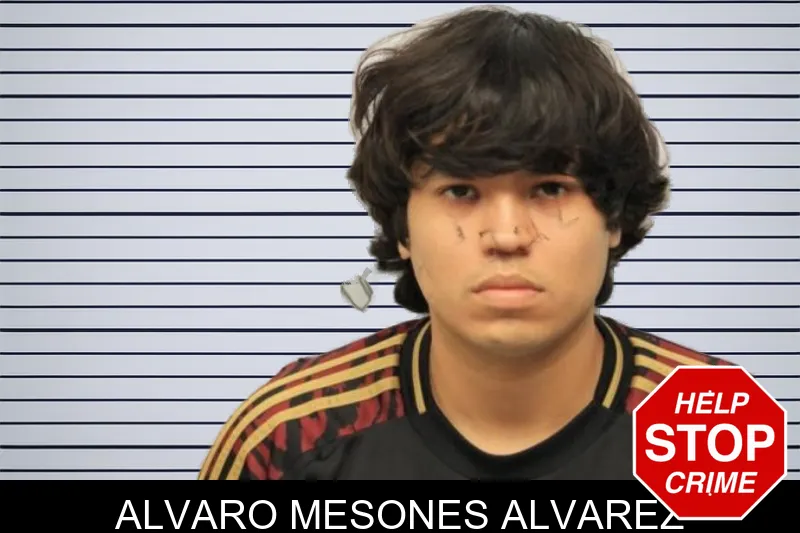 Alvaro Mesones Alvarez mugshot