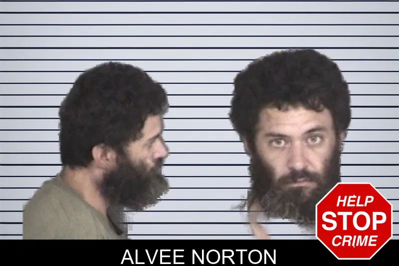 Alvee Norton mugshot