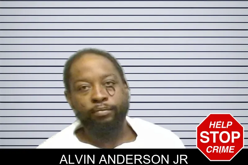 Alvin Anderson Jr mugshot