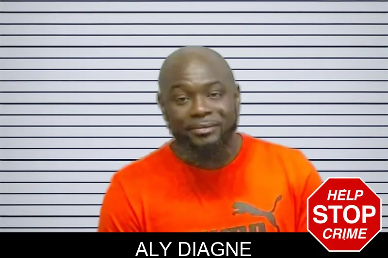 Aly Diagne mugshot
