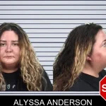 Alyssa Anderson mugshot