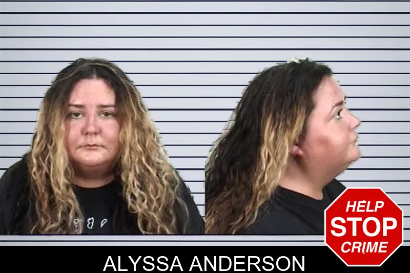 Alyssa Anderson mugshot