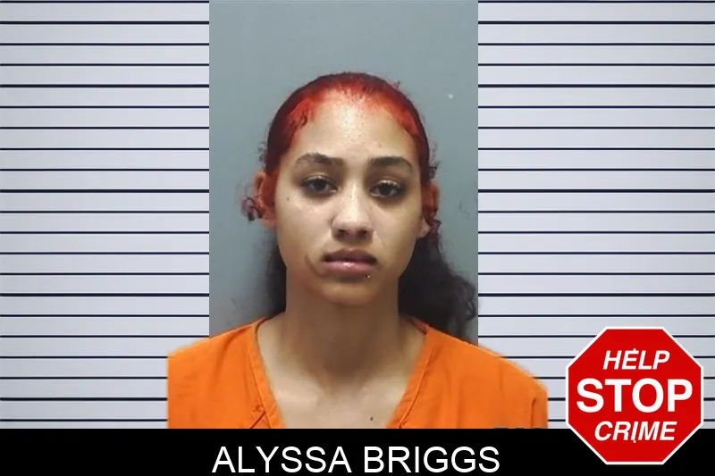 Alyssa Briggs mugshot – Cherokee County , Georgia Alyssa Briggs mugshot