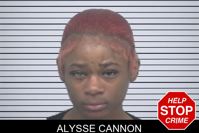 Alysse Cannon mugshot