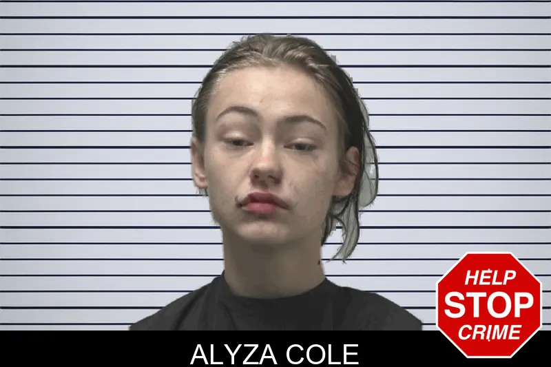 Alyza Cole mugshot