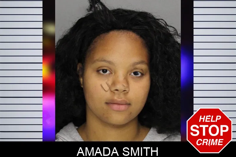 Amada Smith mugshot