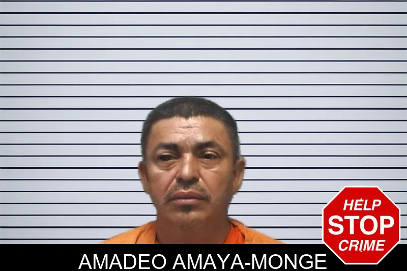 Amadeo Amaya-Monge mugshot