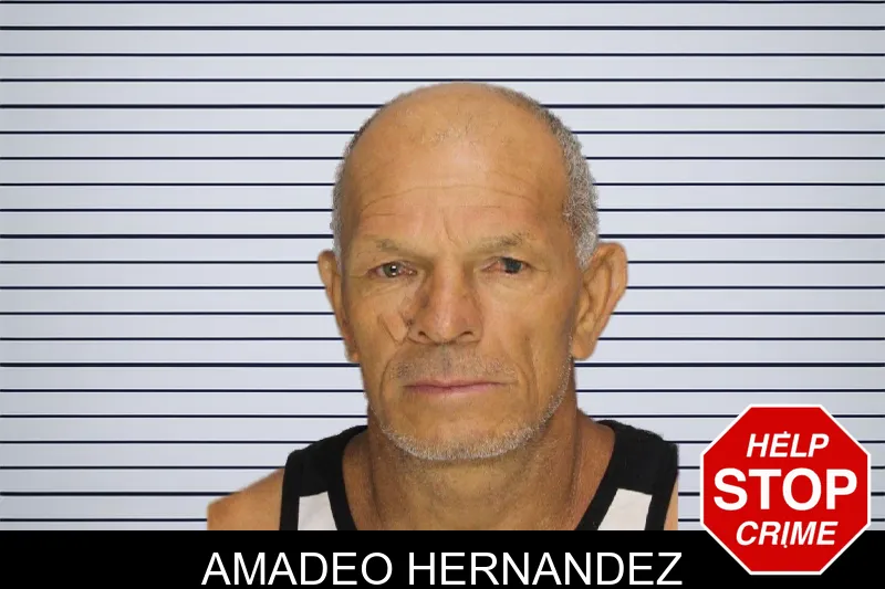 Amadeo Hernandez mugshot