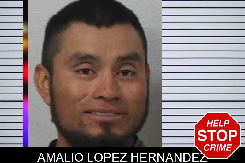 Amalio Lopez Hernandez mugshot