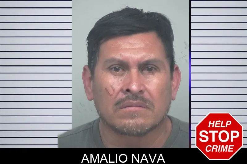 Amalio Nava mugshot