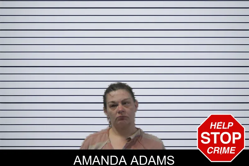 Amanda Adams mugshot