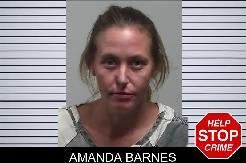 Amanda Barnes mugshot
