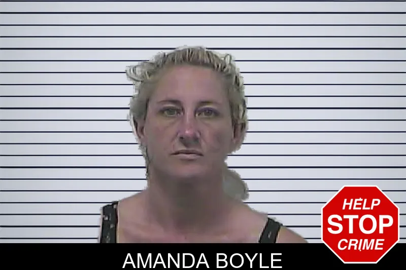 Amanda Boyle mugshot