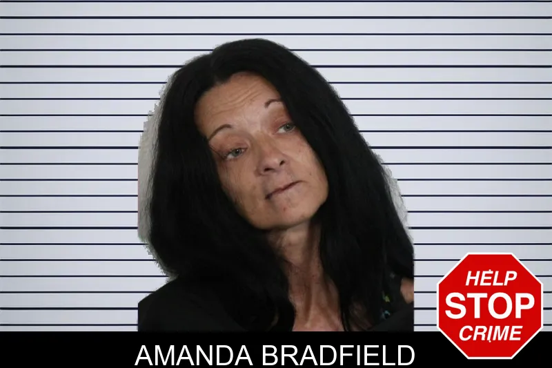 Amanda Bradfield mugshot
