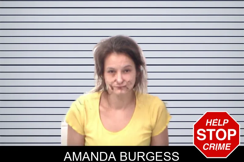 Amanda Burgess mugshot