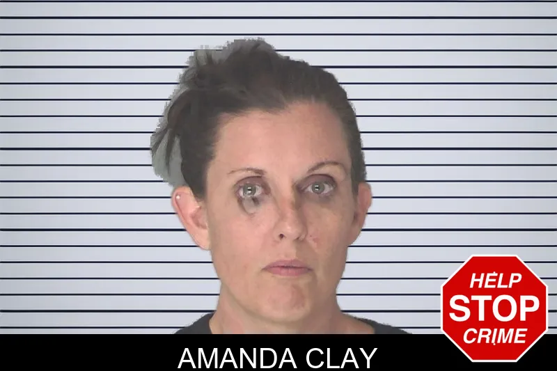 Amanda Clay mugshot