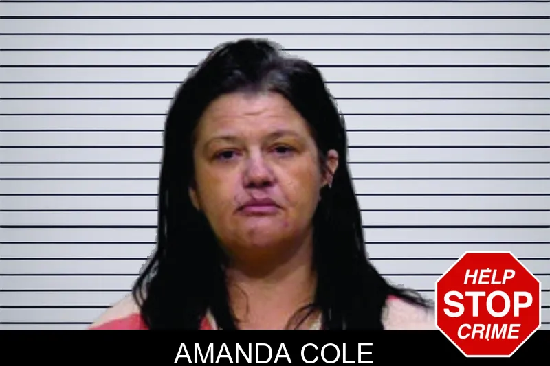 Amanda Cole mugshot
