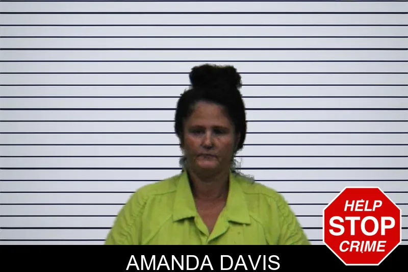 Amanda Davis mugshot