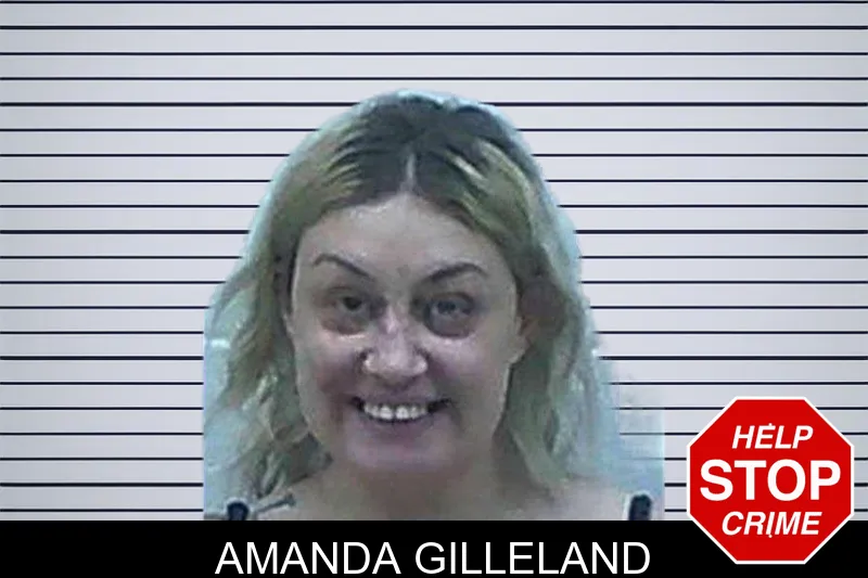 Amanda Gilleland mugshot