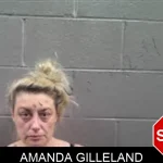 Amanda Gilleland mugshot