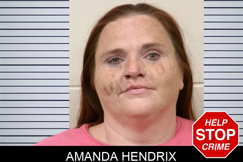 Amanda Hendrix mugshot