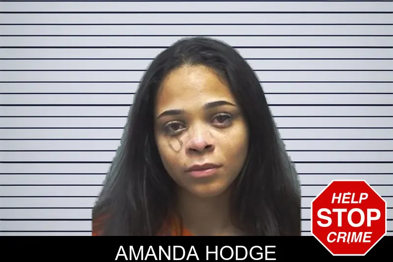 Amanda Hodge mugshot
