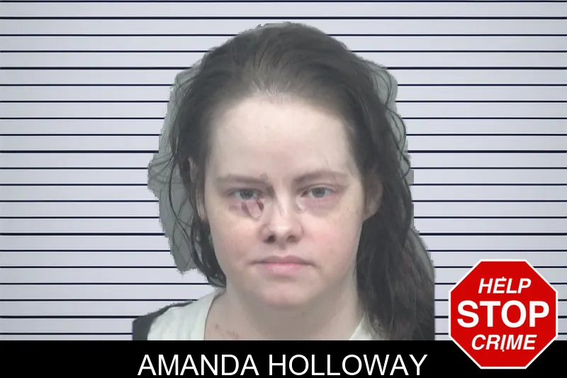 Amanda Holloway mugshot