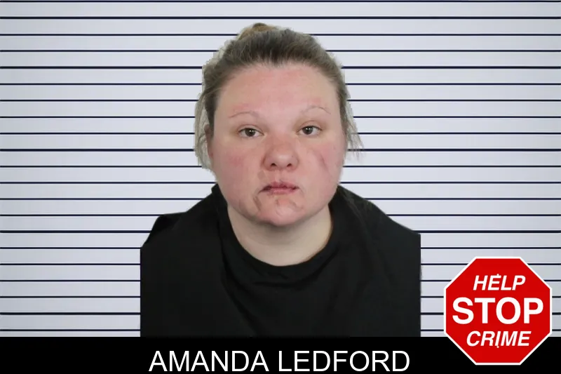 Amanda Ledford mugshot