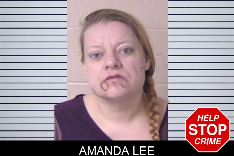 Amanda Lee mugshot
