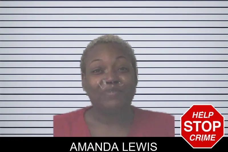 Amanda Lewis mugshot