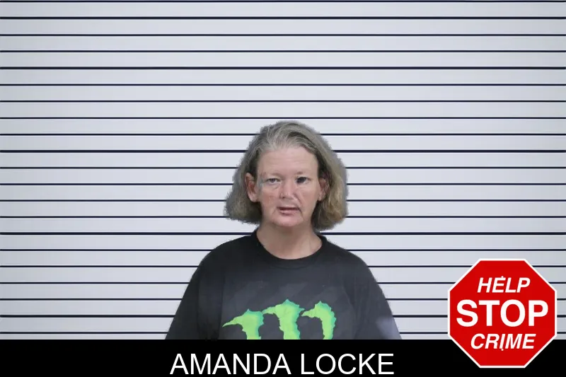 Amanda Locke mugshot