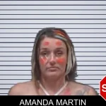 Amanda Martin mugshot
