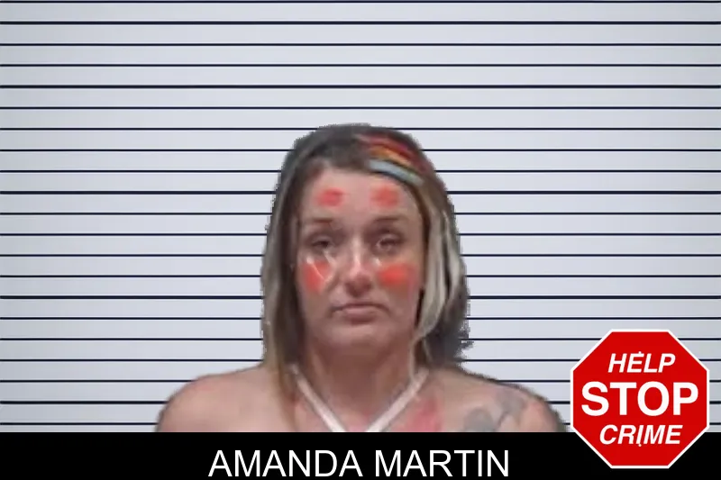 Amanda Martin mugshot