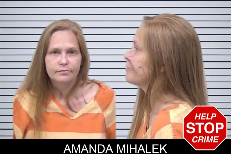 Amanda Mihalek mugshot