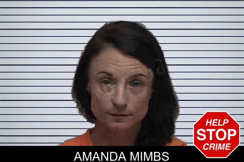 Amanda Mimbs mugshot