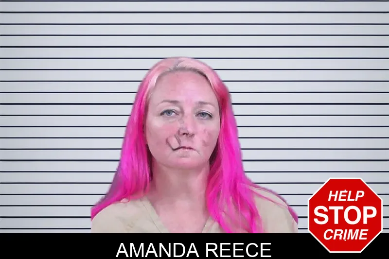Amanda Reece mugshot