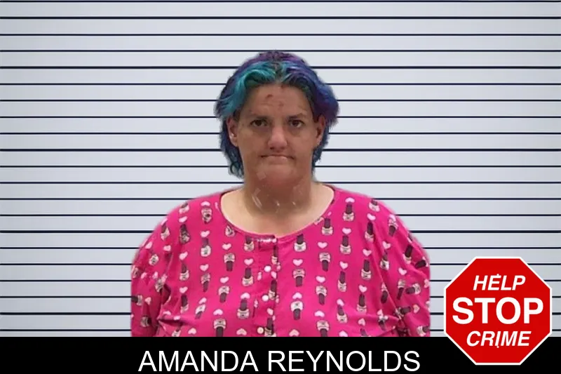 Amanda Reynolds mugshot